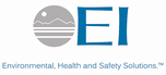 EI-Group-logo.png